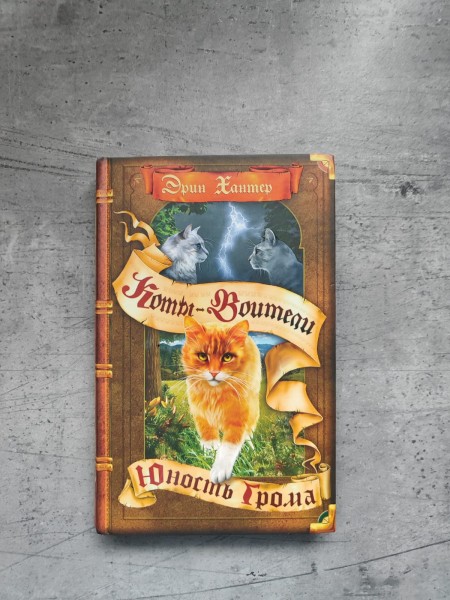 Warrior Cats (russian)