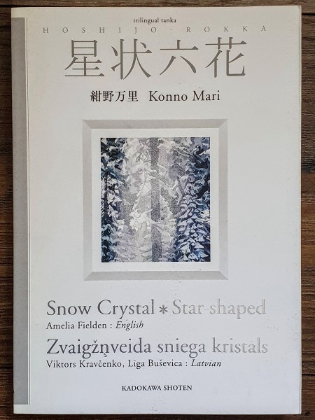 Snow Crystal Star Shaped. Zvaigžņveida sniega kristāls