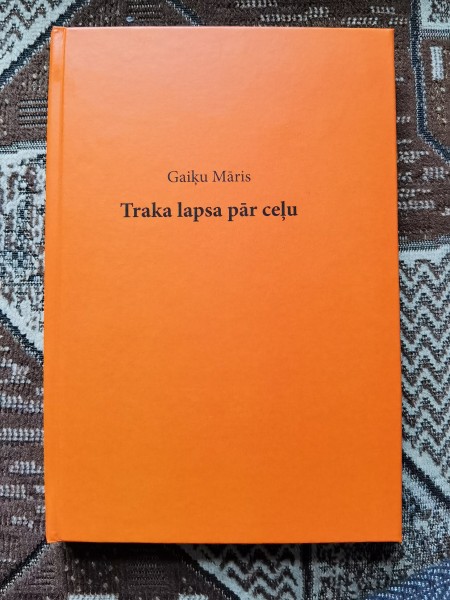 Traka lapsa pār ceļu