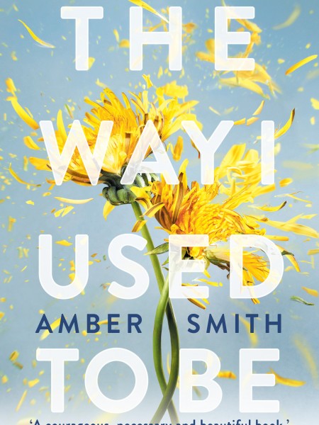 The Way I Used to Be