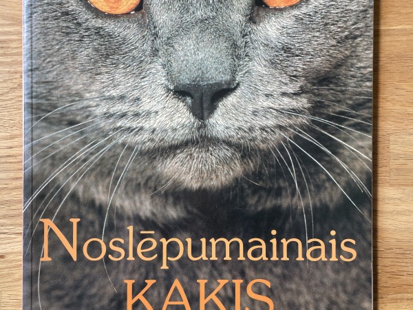 Noslēpumainais kaķis