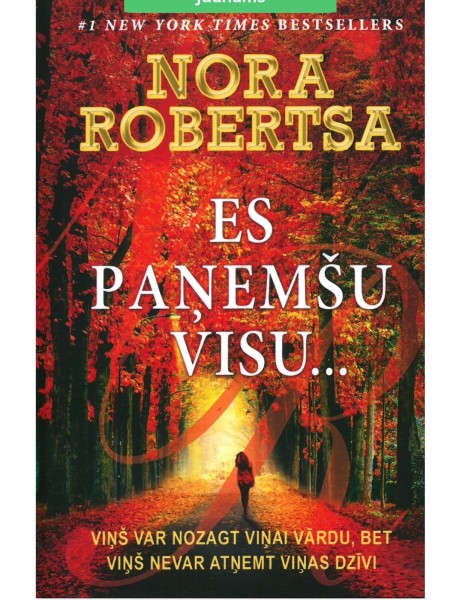 Es paņemšu visu...