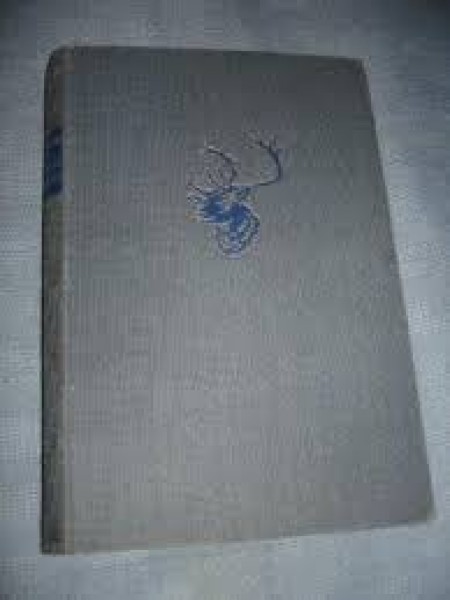 Tuksneša priesteris