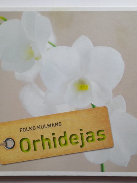 Orhidejas