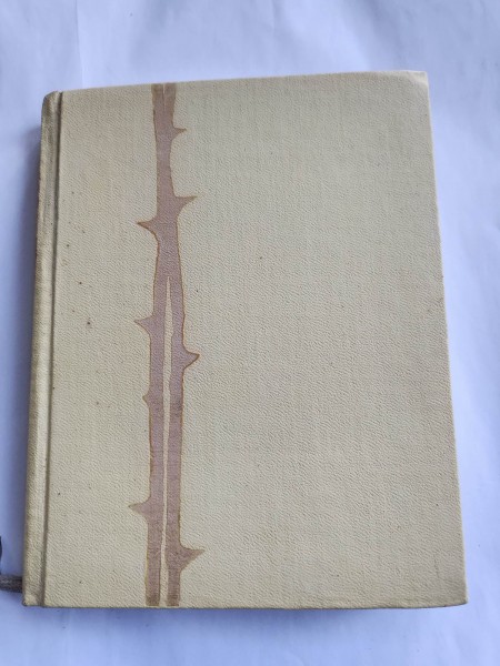 Visiem rozes dārzā zied