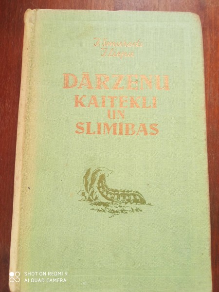 Dārzeņu kaitēkļi un slimības