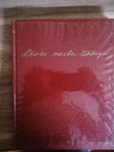 Ķēves meita Džiga