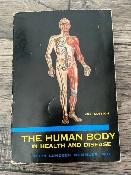 The human body