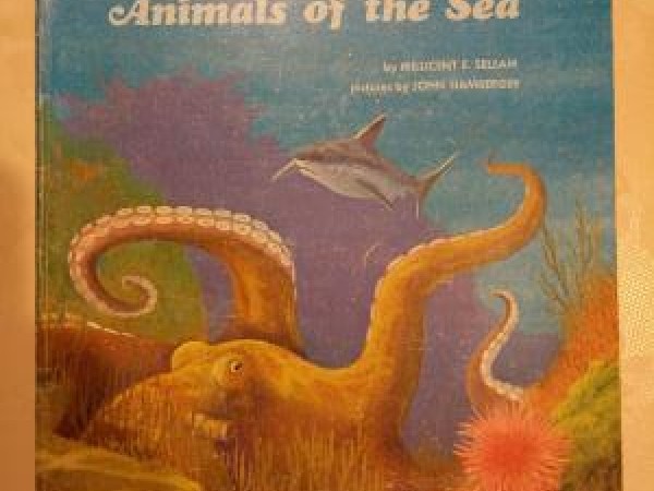 Animals of the sea