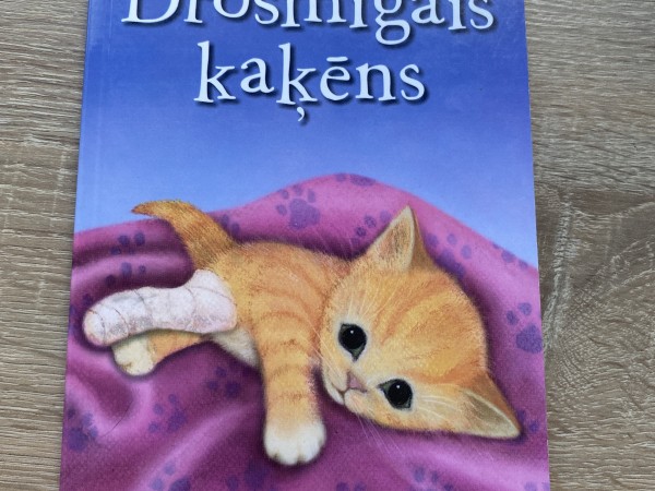 drosmīgais kaķēns