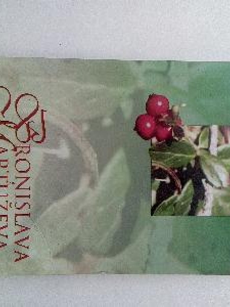 Lirika. Broņislava Martuževa