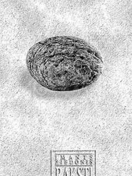 Imants Ziedonis Raksti 4 sējums