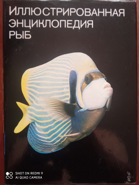 Иллюстрированная энциклопедия рыб