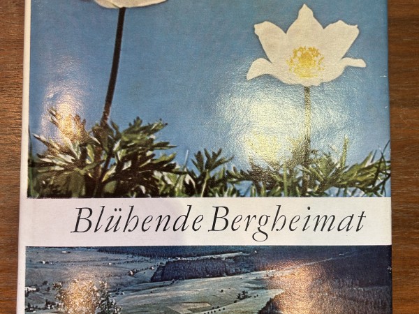 Blühende Bergheimat