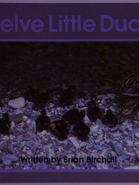 Twelve Little Ducks