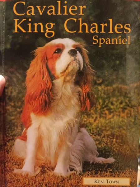 Kynos Ratgeber - Cavalier King Charles Spaniel