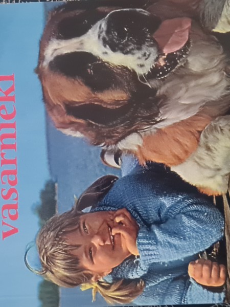 Mēs-Sālsvārnas salas vasarnieki