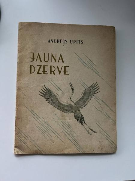 Jaunā dzērve