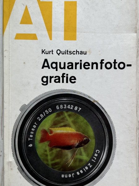 Aquarienfotografie