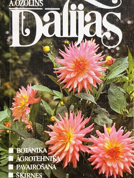 Dālijas