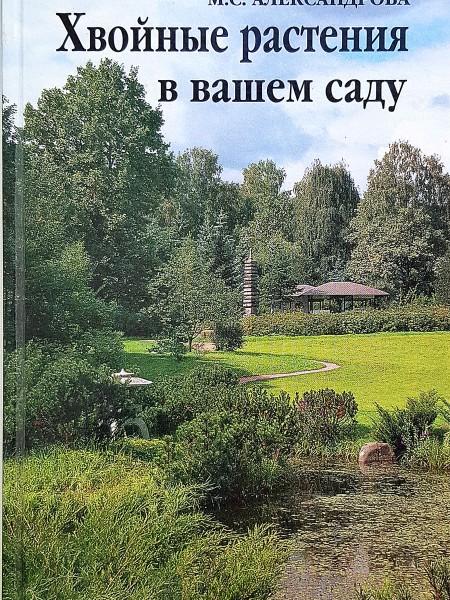 Skujkoki tavā dārzā