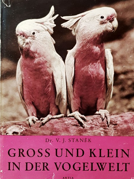 Lielie un mazie putnu pasaulē