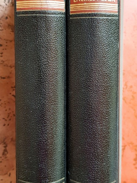 Latvju mazā enciklopēdija (A-MICH), (MICH-Ž)