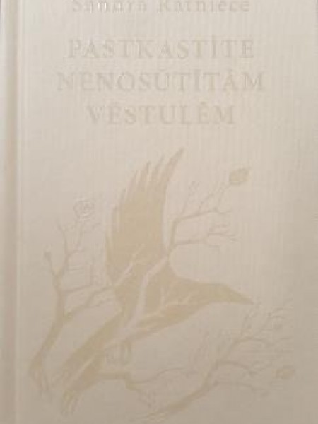Pastkastīte nenosūtītām vēstulēm
