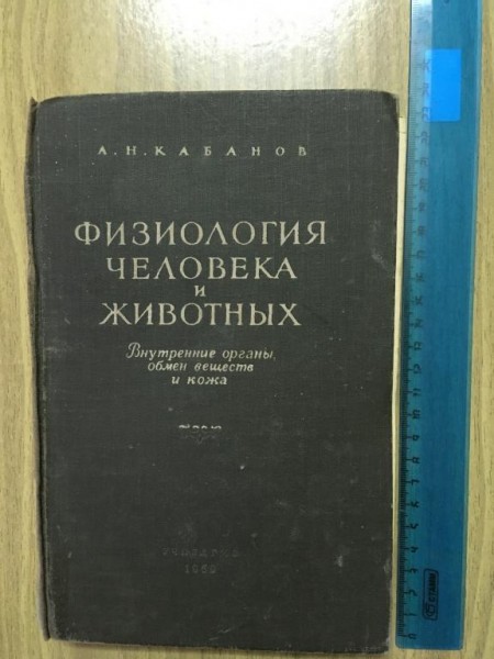 Физиология человека и животных