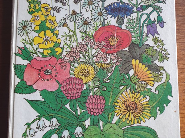 veselīgas zāļu tējas