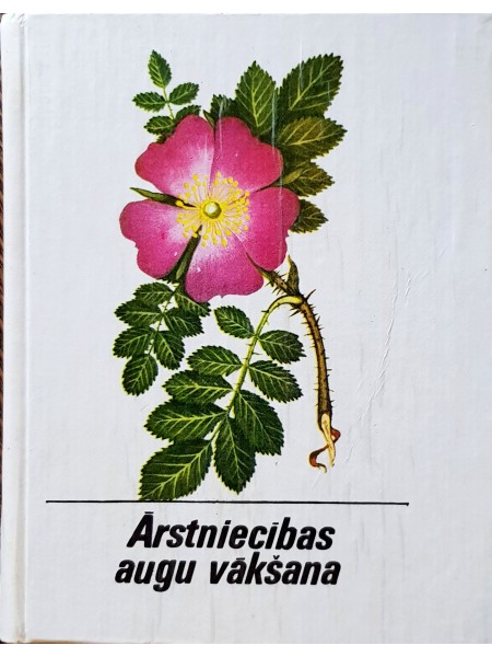 Ārstniecības augu vākšana