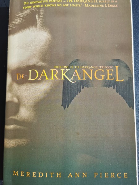 The Darkangel