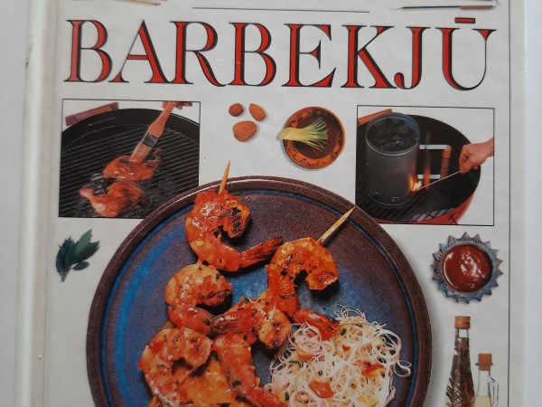 101 vērtīgs padoms - Barbekjū