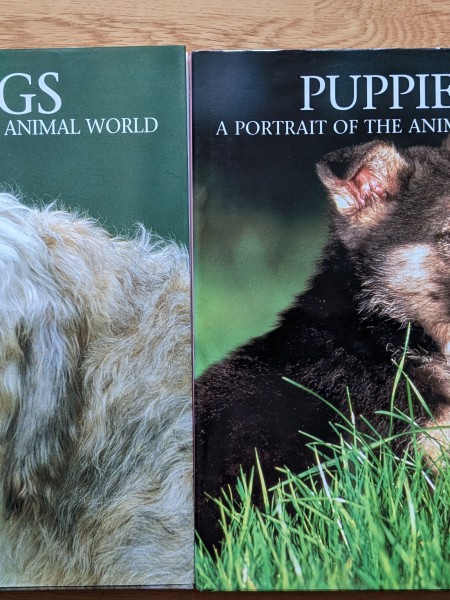 A Portrait of the Animal World