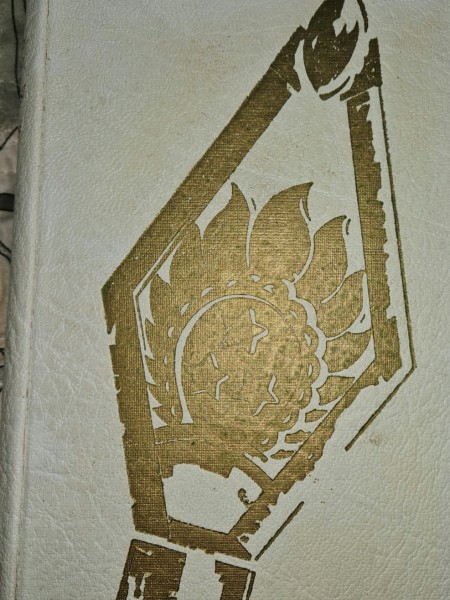 Latviešu Leğions. Dibināšana, Formēšana un kauju gaitas otrā pasaules karā.