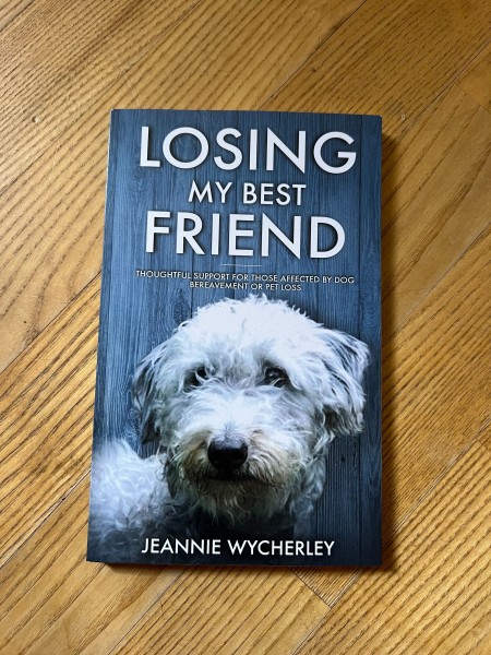 Losing My Bestfriend