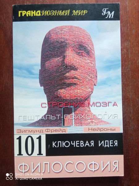 101 ключевая идея: философия