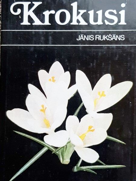 Krokusi