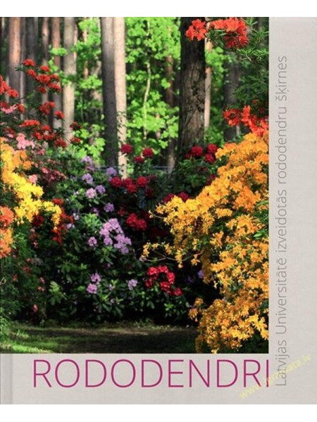 Rododendri. Latvijas Universitātē izveidotās rododendru šķirnes