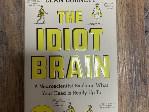 The Idiot Brain