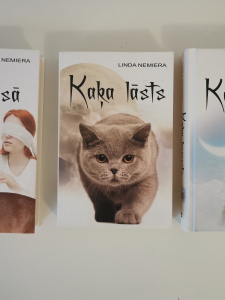 Kaķa koncerts, kaķa lāsts, kaķis maisā