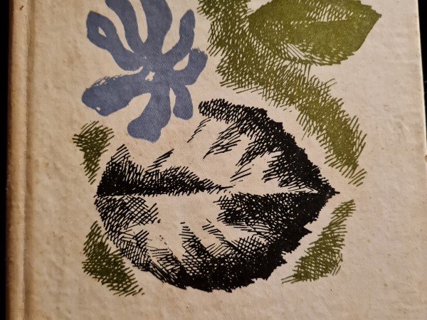 Vēl vienai upei pāri