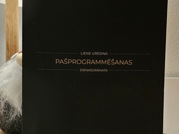 Pašprogrammēšanās