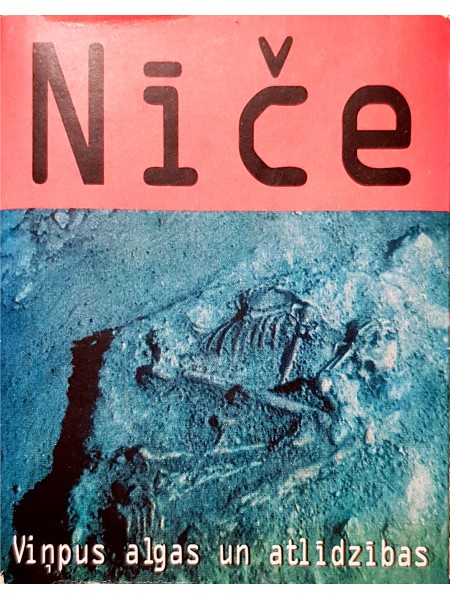 Nīče. Viņpus algas un atlīdzības