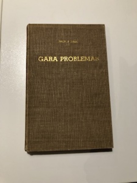 Gara problēmas