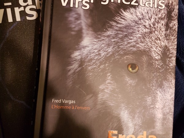 Zilo apļu vīrs un Otrādi apgrieztais vīrs