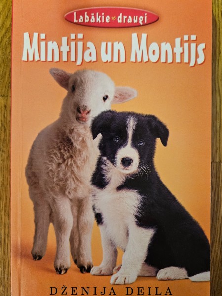 Mintija un Montijs
