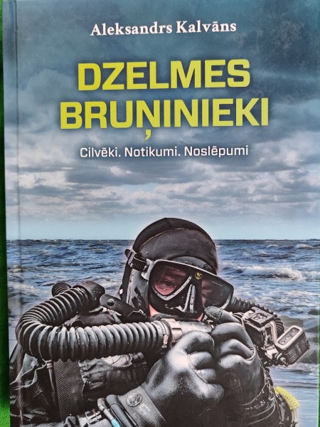 Dzelmes bruņinieki