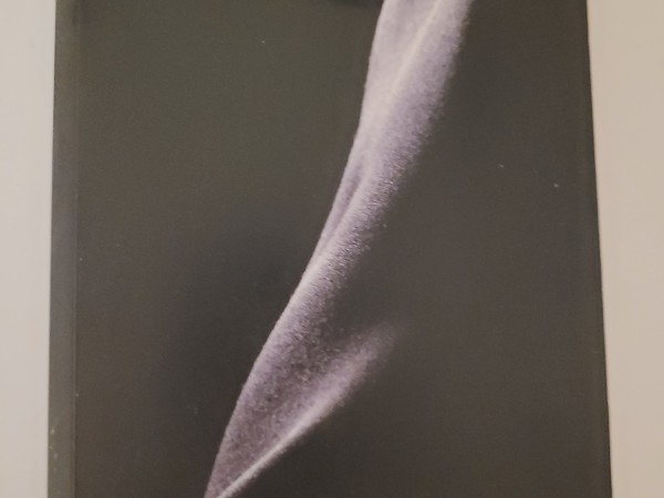 Deviņdesmit dienas Ženevjēvai