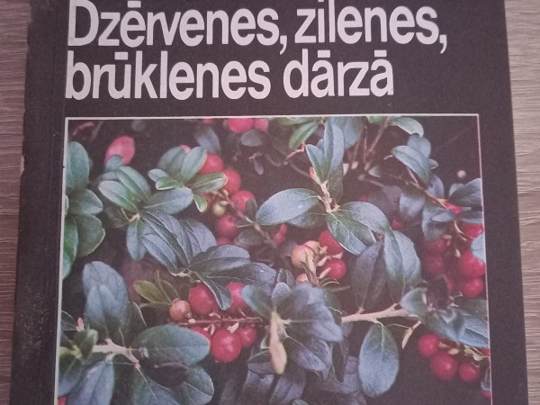 dzērvenes , zilenes, brūklenes dārzā